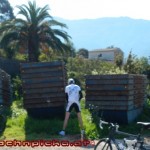 Mallorca RR 20120330 220