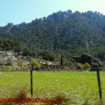 Mallorca RR 20120331 267