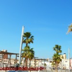 Mallorca RR 20120331 286