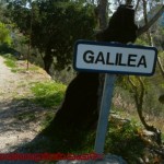 Mallorca RR 20120401 301