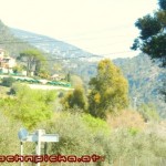 Mallorca RR 20120401 310